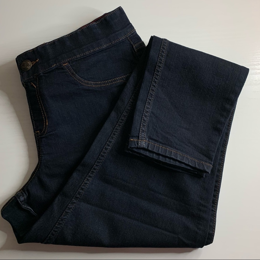 ♦️Lane Bryant Jeggings